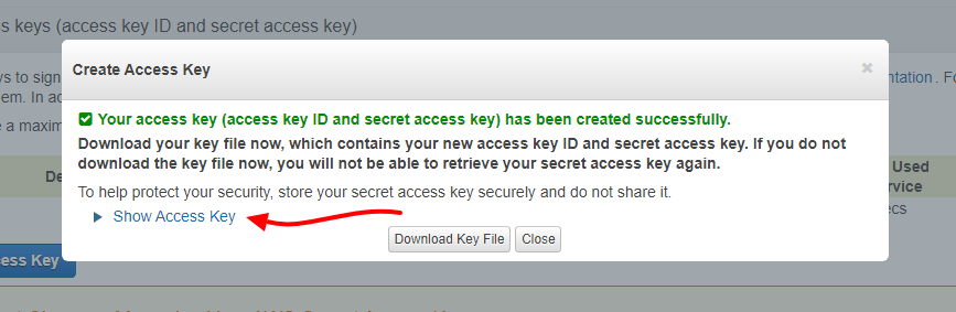 Show Access Key