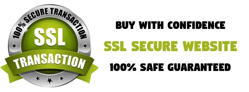 SSL Secure Website